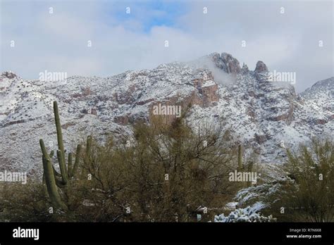 Snow in the desert, Cactus in Winter, Arizona desert winters ...