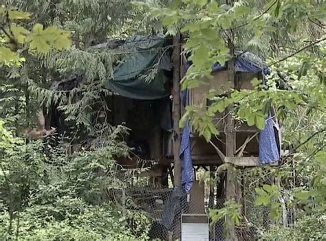 People Living in Giant Treehouse are Terrorizing Neighbors in Portland