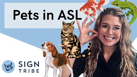 8 Common Animal/Pet Signs | ASL | Sign Language Lesson + Tutorial ...