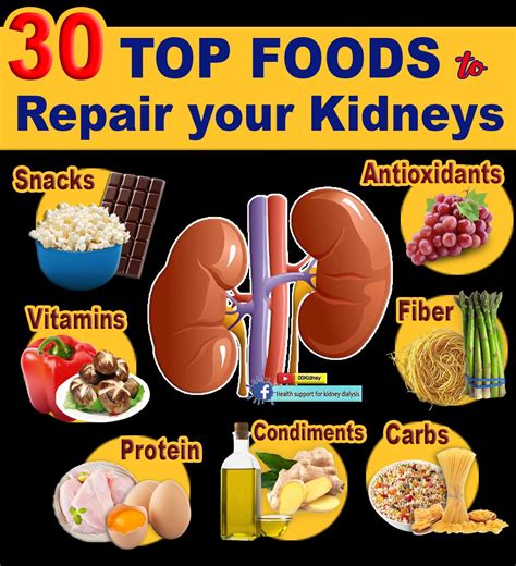 30 FOODS to REPAIR the KIDNEYS | the Healthiest Foods on the Planet | Kidney diet recipes ...