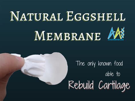 Natural Eggshell Membrane (NEM) - Rebuild Cartilage | AAI Clinic