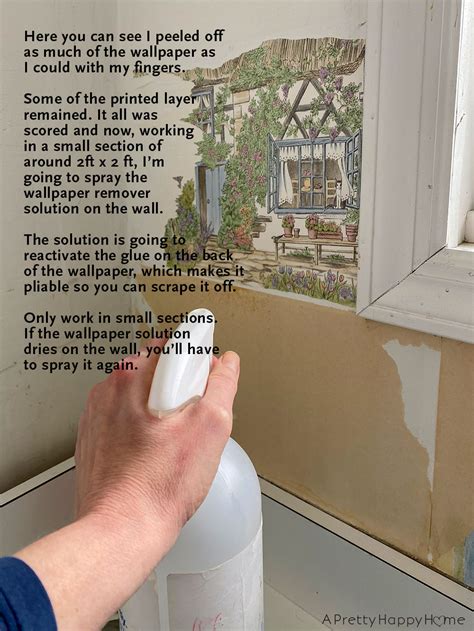 A Snarky, but Helpful Wallpaper Removal Guide – A Pretty Happy Home