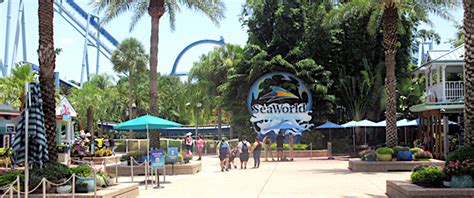 New Discounts Available on SeaWorld Orlando Tickets