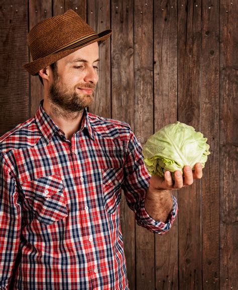 Happy Farmer Holding Cabbage on Rustic Wood Stock Image - Image of ...