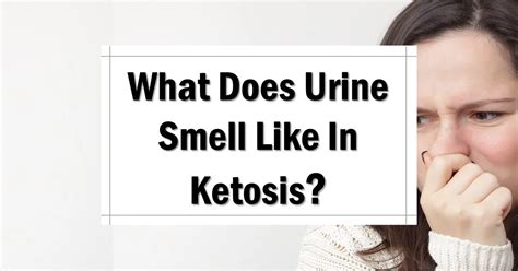 What Does Urine Smell Like In Ketosis? [+Personal Experience] - The ...