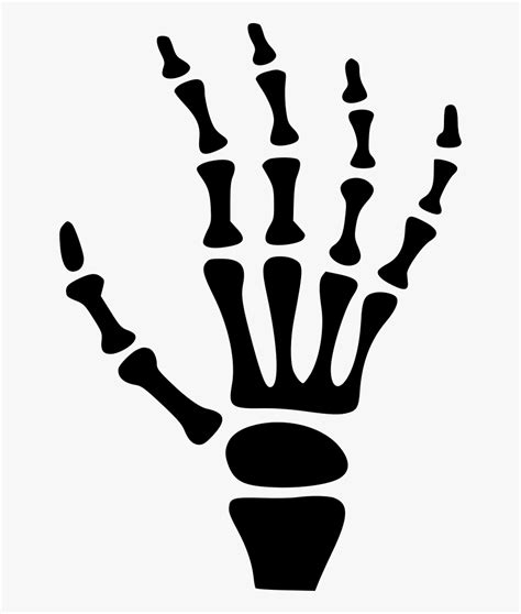 X Ray - Skeleton Hand Cartoon , Free Transparent Clipart - ClipartKey