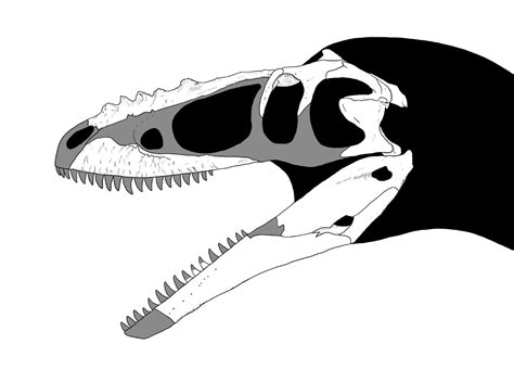 Alioramus | Fossil Wiki | Fandom