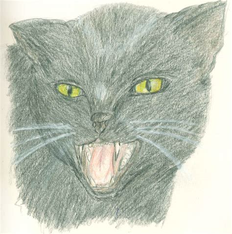 sketch : angry cat by The-Angel-Of-Light on DeviantArt