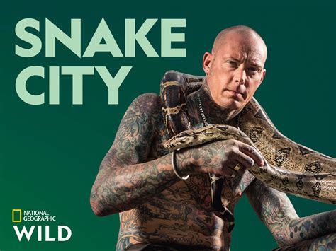 Watch Snake City Season 6 | Prime Video