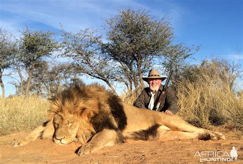 Lion Hunting South Africa | AfricaHunting.com