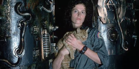 Alien: Jones The Cat’s Importance & Meaning Explained