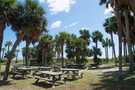 Edisto Beach State Park (2024) | Admission, Times, Photos & Events