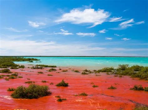 Broome Beach Camping Guide | Everything You Need Know - Lets-Getaway.com