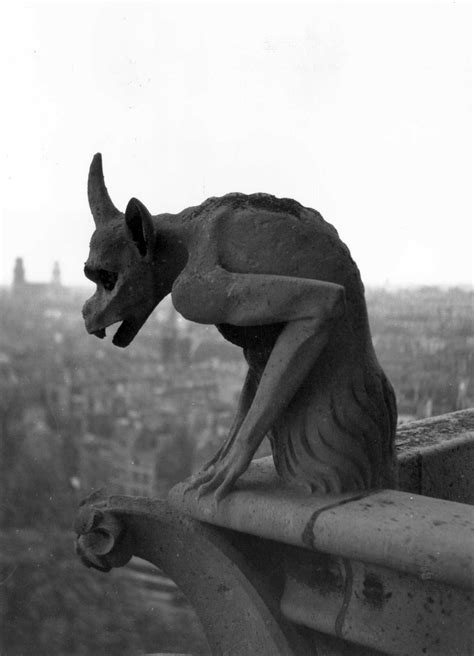 The gargoyles of Notre Dame, witnesses to so much - Considerable ...