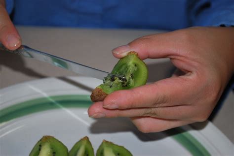 From Seed To .........: Extracting Kiwi Seeds