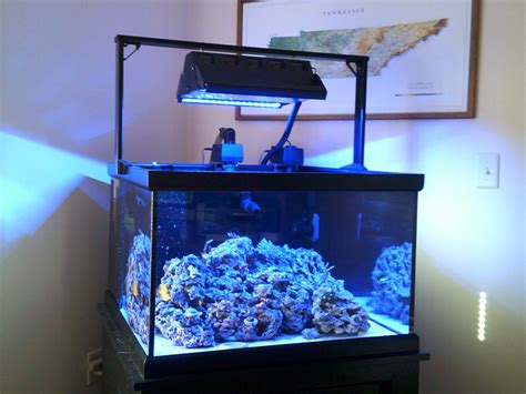 Tennessee - Cube Reef Aquarium 70 Gallon 30 x 30 x 20 Package - $775 ...