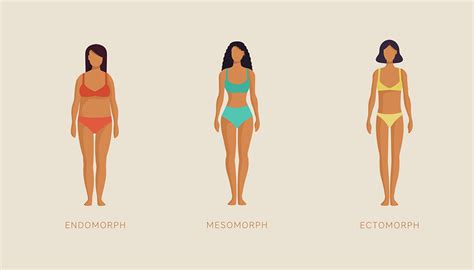 The 3 Body Types: Ectomorph, Mesomorph, Endomorph