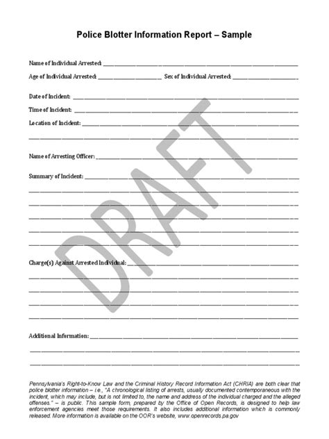 Police Blotter Sample Form DRAFT | PDF | Police | Criminal Record