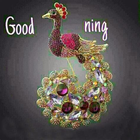 Good Morning-Peacock - Good Morning Wishes & Images