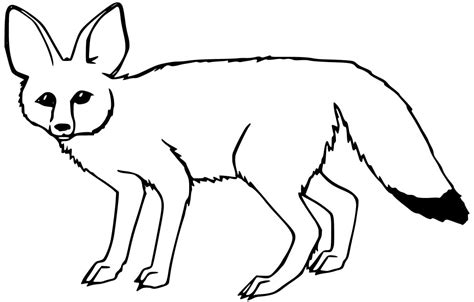 Fennec Fox Looks Cute Coloring Page - Free Printable Coloring Pages for Kids