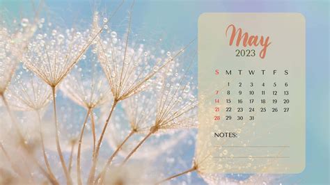 Download Gain Control of Your Month with a May 2023 Calendar Wallpaper ...