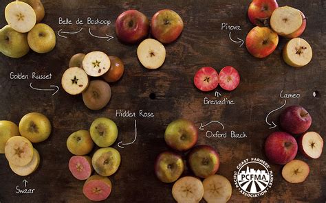 Heirloom Apples - Farmers Markets | Edible Silicon Valley