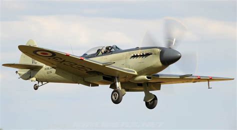 Supermarine Seafire - War Wings Daily