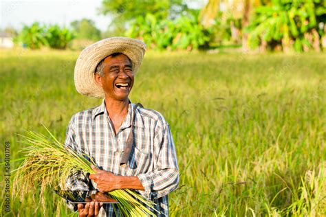 Happy farmers on his farm An Asian farmer who smiles happily, standing proudly in front of his ...