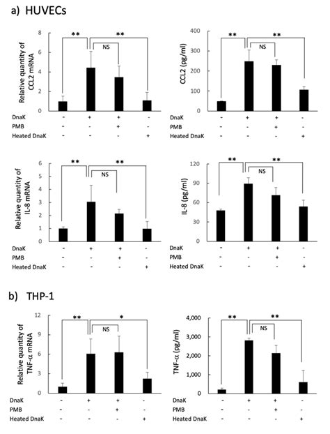 IJMS | Free Full-Text | Abiotrophia defectiva DnaK Promotes Fibronectin-Mediated Adherence to ...