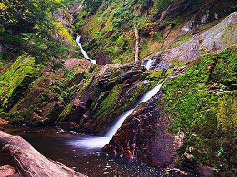 Chequamegon National Forest, a Wisconsin National Forest located near ...