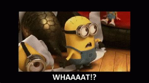 Minion Whaaat GIFs - Find & Share on GIPHY