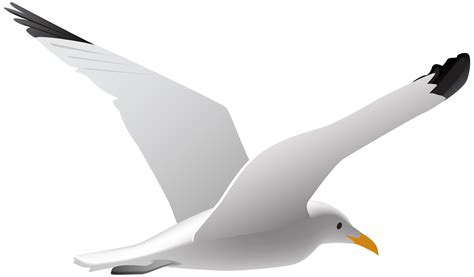 Gulls Bird Clip art - Seagull PNG Clip Art Image png download - 8000* ...