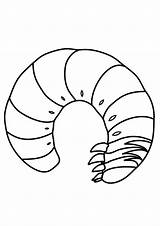 Millipede Coloring Pages sketch template
