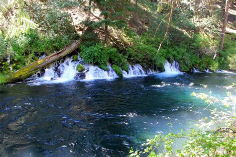 Pay a visit to glorious Metolius - The Columbian