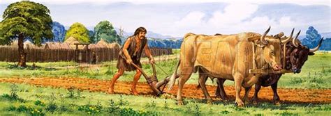 Prehistoric world, Animals, Prehistoric man