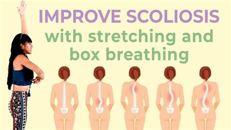 10 Min Easy Standing Stretches for Scoliosis ♥ Daily Exercise (Upper Body) | Scoliosis exercises ...