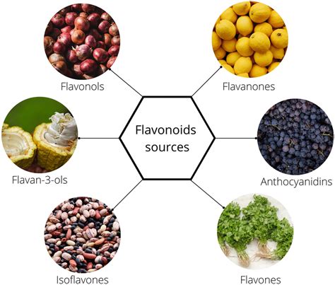 Flavanols Food