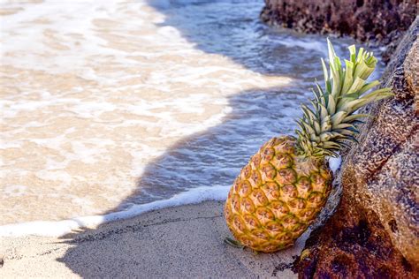 Pine Apple on Beach · Free Stock Photo