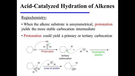 Acid-Catalyzed Hydration of Alkenes - YouTube