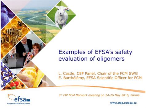 (PDF) Examples of EFSA’s safety evaluation of oligomers · Examples of EFSA’s safety evaluation ...