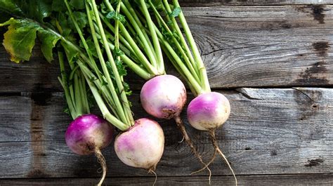 MAKE AHEAD TURNIP CASSEROLE – Farmer Foodshare