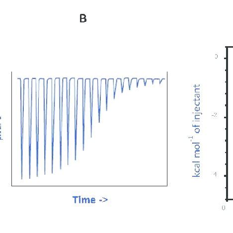 How ITC works. A: Schematic of ITC cells and injection syringe. B ...