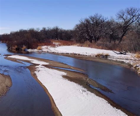 WEBINAR: Establishing a diatom flora library of the South Platte River ...