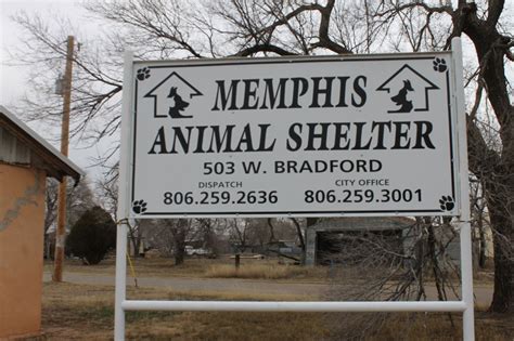 Animal Control Services | Memphis, Texas