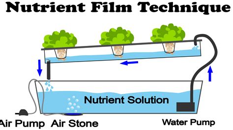 What Is Nutrient Film Technique- NFT Hydroponics? - NoSoilSolutions