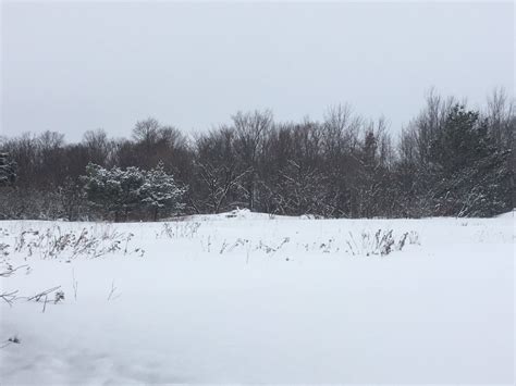 Snowfall advisories and weather statements issued for the region | CTV News