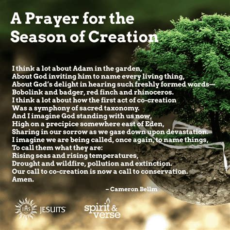 Season Of Creation Prayer 2024 - Jody Rosina