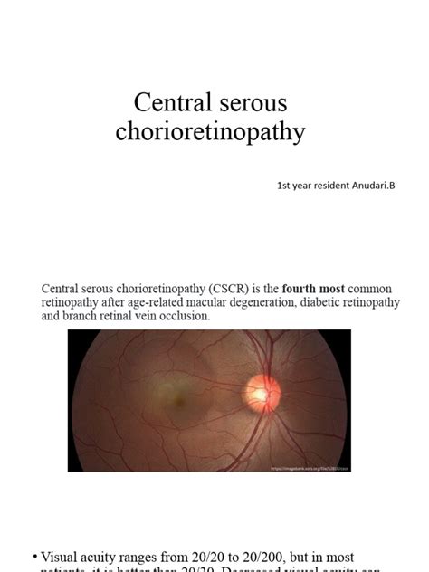 CSCR | PDF | Retina | Human Eye