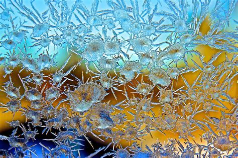 These Magnified Frost Crystal Images Are Totally Enchanting | WIRED