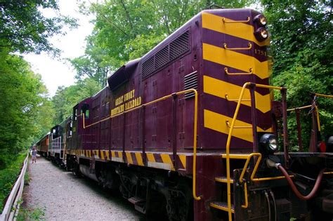 Great Smoky Mountains Railroad Scenic Train | Smoky mountains, Great smoky mountains, Smokey ...